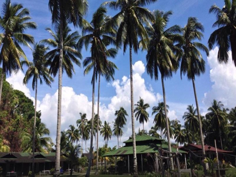 Fishing Bay Resort Mersing Exteriör bild